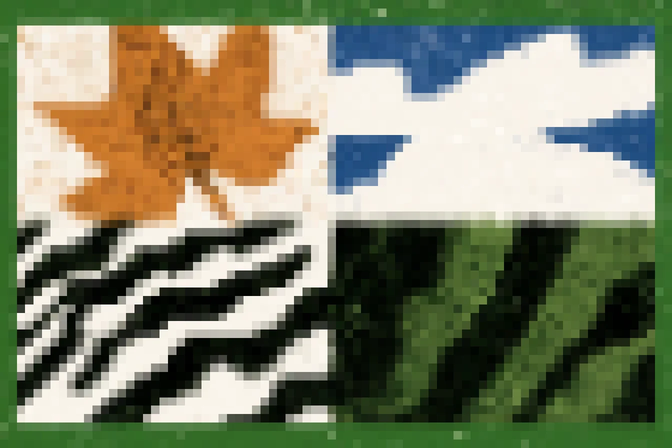 Graphic of a maple leaf, zebra stripes, and blue shapes pixelated into 16 px square blocks