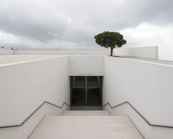 Modern Minimalist Entrance with Stairs and Tree
