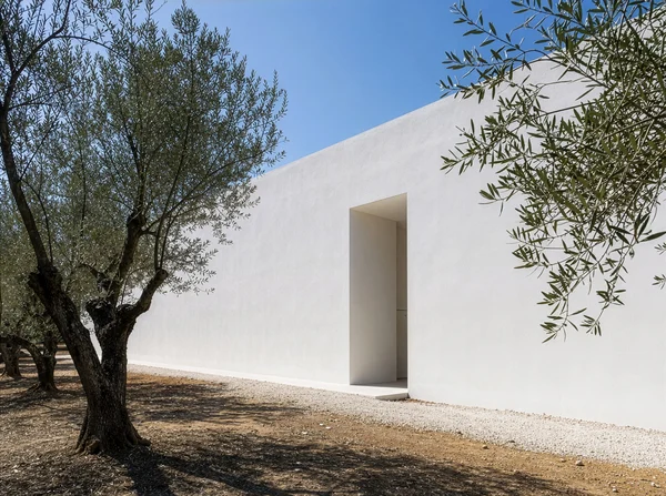 Minimalist White Building in an Olive Grove