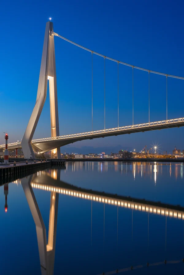 Modern Cable-Stayed Bridge at Twilight