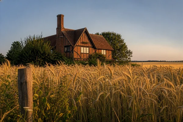 A Rustic Cottage Amidst a Golden Wheat Field