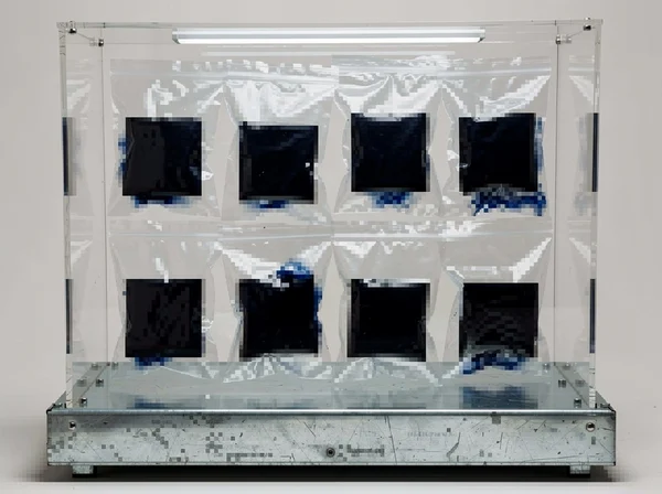 Artistic Display of Sealed Black Squares