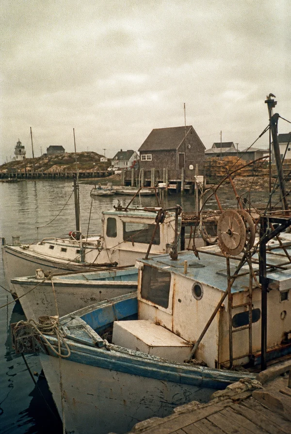 Fishing Boats Docked at a Coastal Harbor