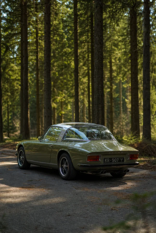 Vintage Olive Green Sports Coupe in Forest
