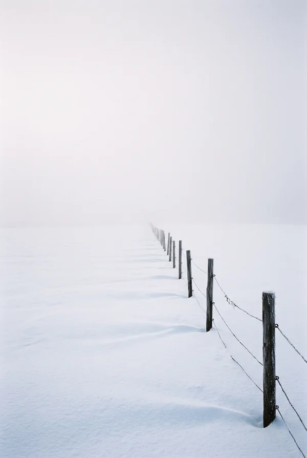 A Fence Line Vanishing Into A Snowy Mist
