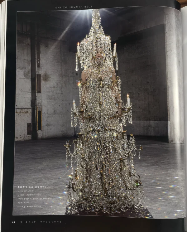 Theatrical Crystal Chandelier Couture Gown