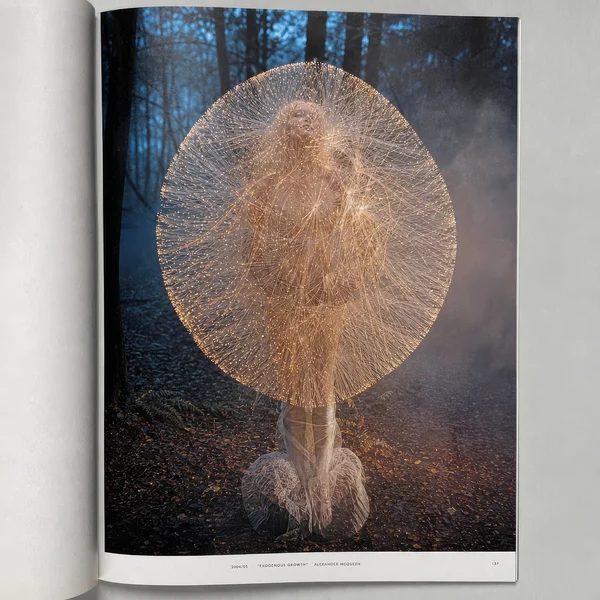 Luminous Halo Portrait in Misty Forest