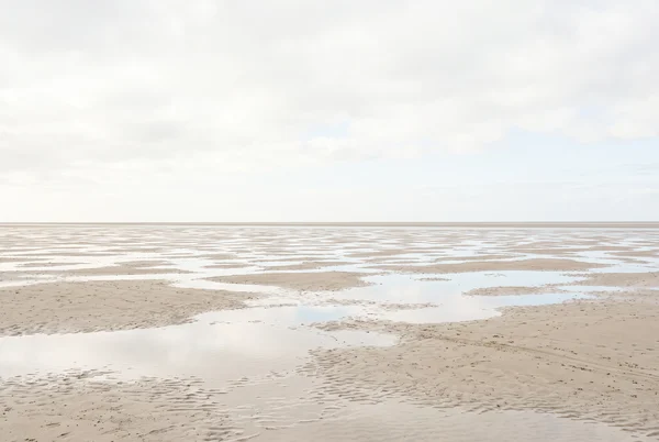 Expansive Tidal Sand Flats Under Overcast Sky
