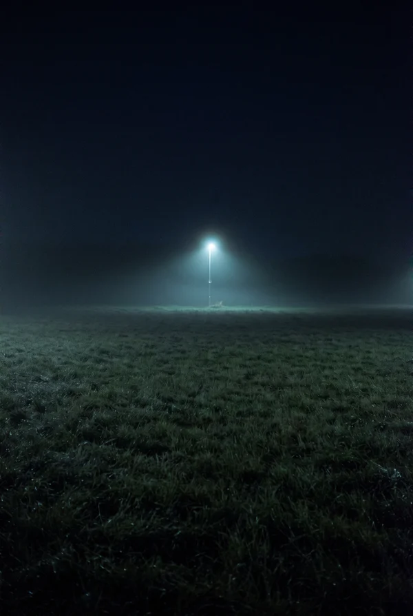 A Single Streetlamp in a Misty Night Field
