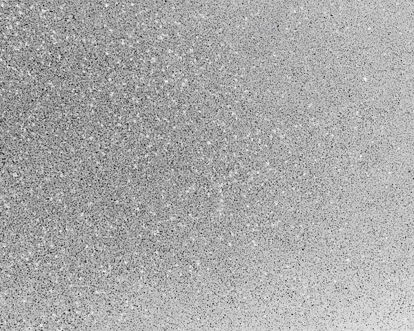 Monochrome Grainy Surface Texture