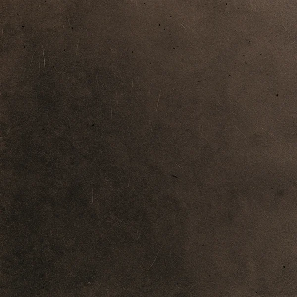 Dark Brown Speckled Paper Texture