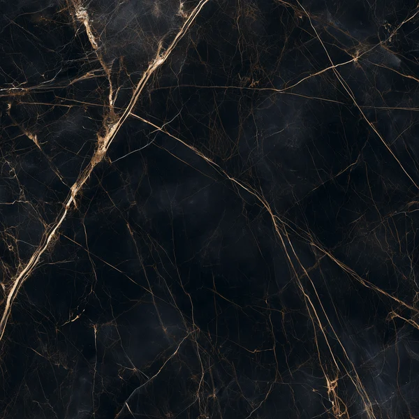Black Marble with Gold Veins
