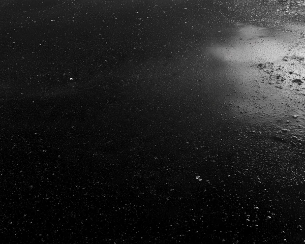 Wet Asphalt Surface