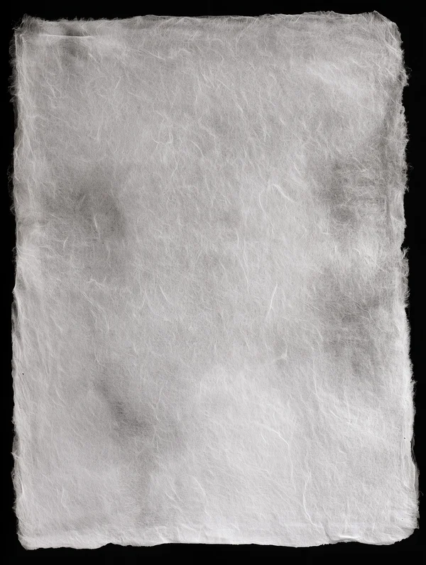 Translucent Fibrous Paper Texture