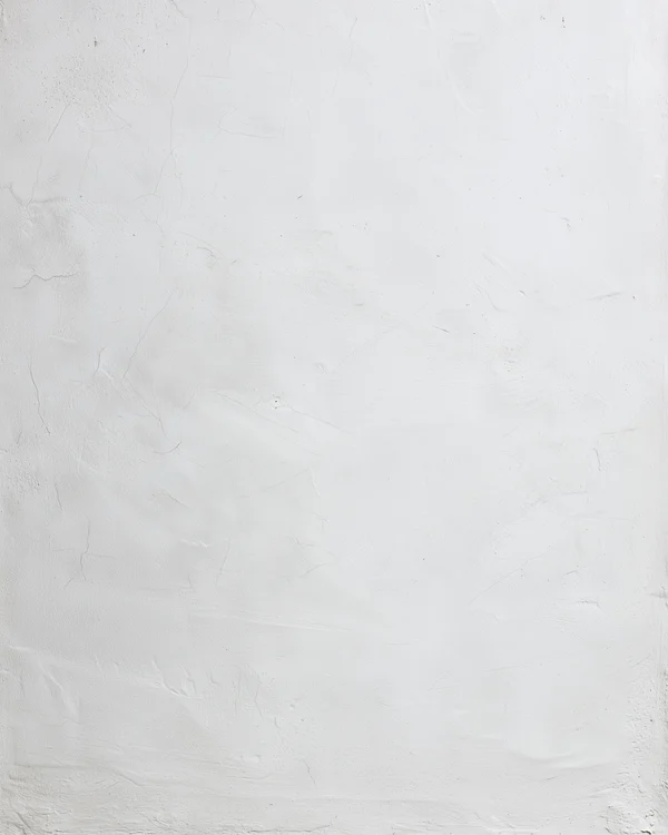 Minimalist White Plaster Wall Texture