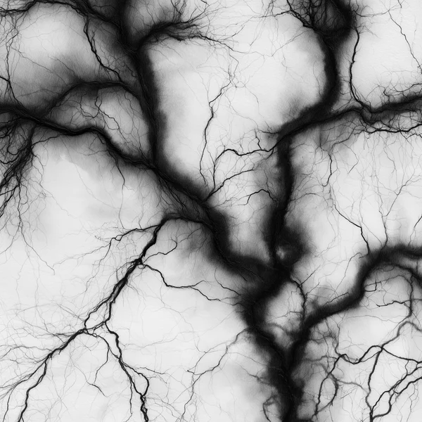 Abstract Monochrome Ink Branching Pattern
