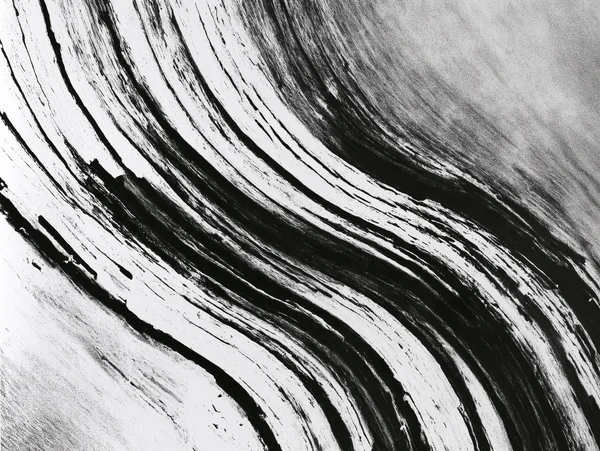 Abstract Monochrome Flowing Lines