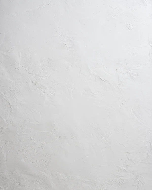 Minimalist White Plaster Wall Texture