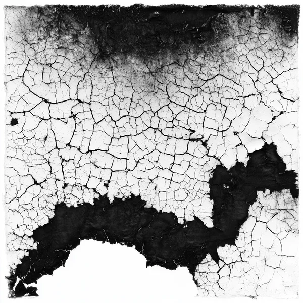 Monochrome Cracked Surface Texture