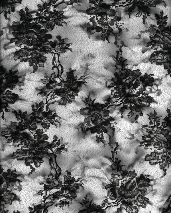 Black Lace Pattern Texture