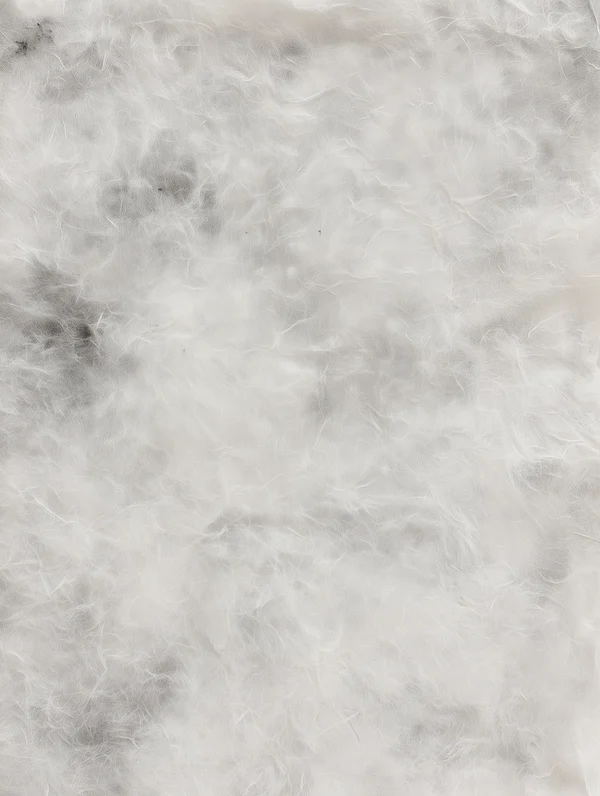 Translucent Fibrous Paper Texture