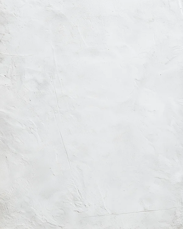 Minimalist White Plaster Wall Texture