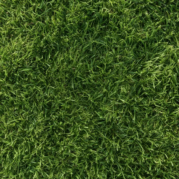 Lush Green Grass Texture