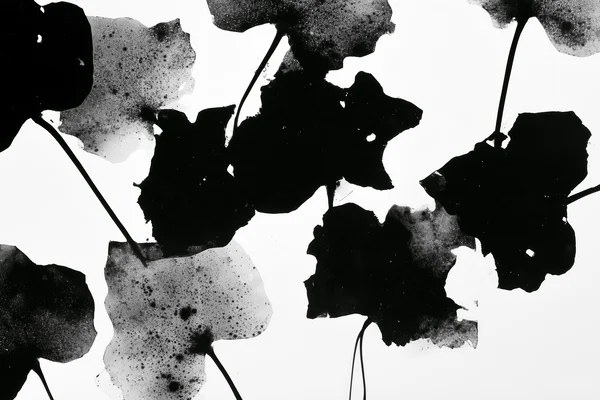 Black Leaf Silhouettes