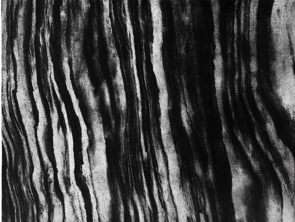 Abstract Monochrome Wood Grain Texture