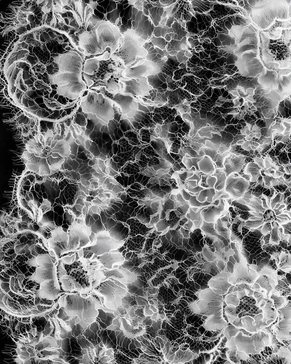 Monochrome Floral Lace Pattern