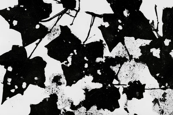Black Ivy Leaf Silhouettes