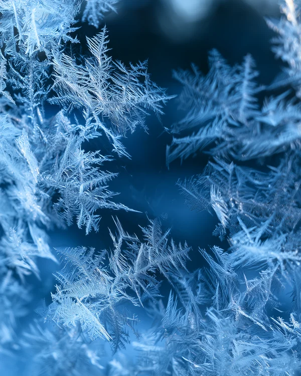 Intricate Frost Patterns on Glass