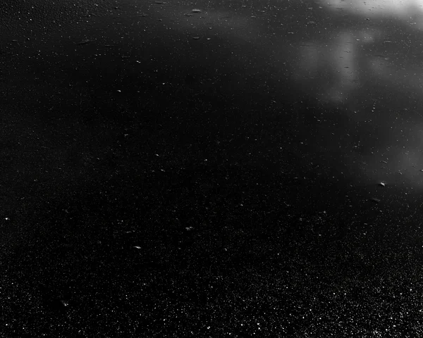 Wet Asphalt Surface