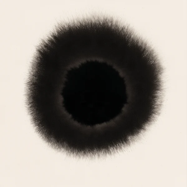 Black Ink Bloom on Paper