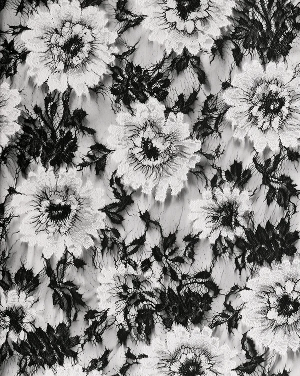 Black and White Floral Lace Pattern