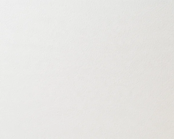 White Textured Paper Surface