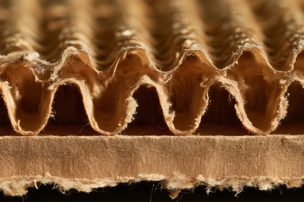 Corrugated Cardboard Cross Section