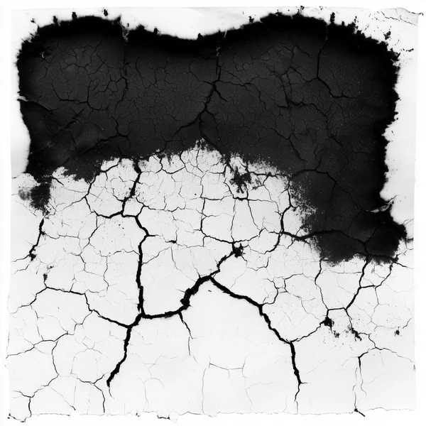 Monochrome Cracked Ink Texture