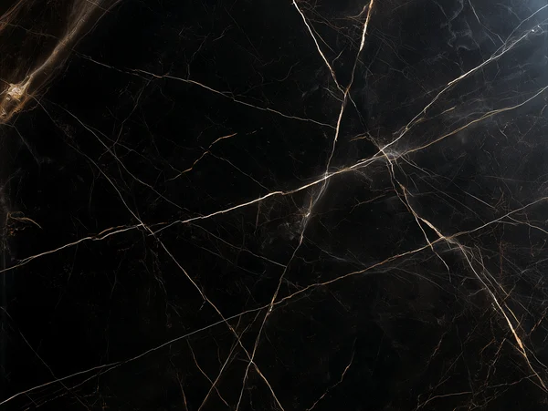 Black Marble Slab with Gold Veining