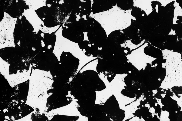 Black and White Leaf Silhouette Pattern
