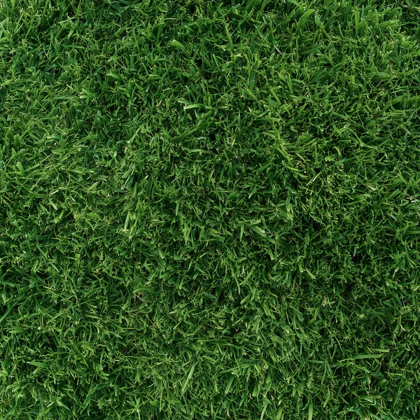 Lush Green Grass Texture