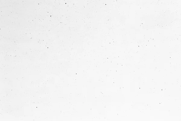 Minimalist White Paper Texture