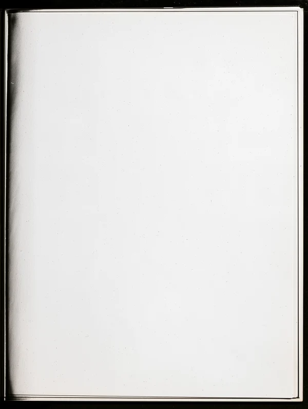 Minimalist Blank Paper Texture
