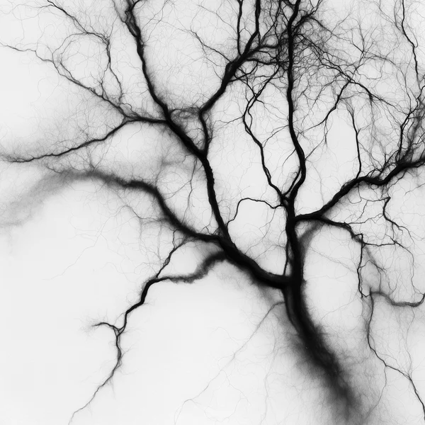 Abstract Ink Branching Pattern