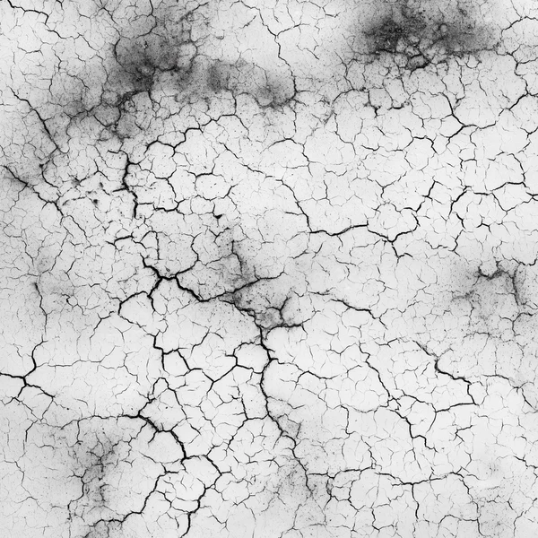 Monochrome Cracked Surface Texture