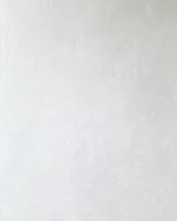 Minimalist White Plaster Wall Texture
