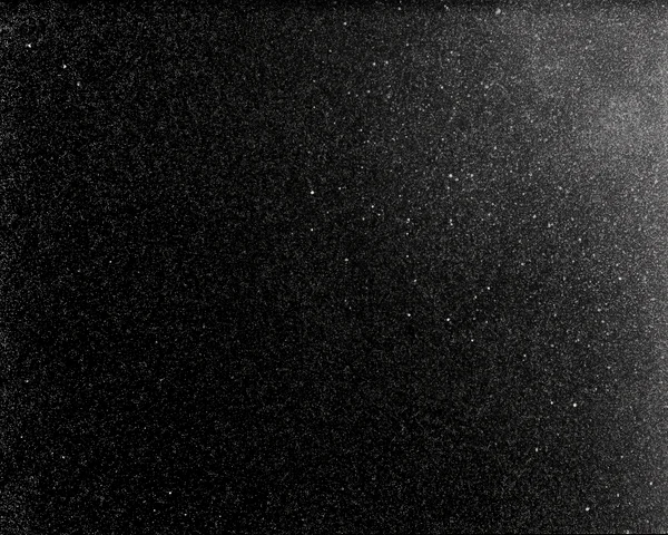 Monochrome Grainy Texture
