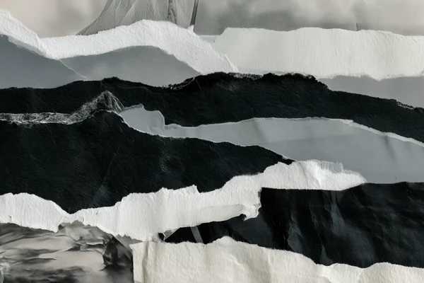 Monochrome Torn Paper Collage