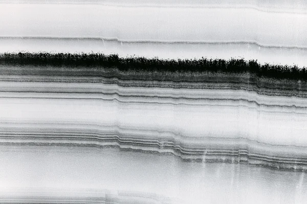 Abstract Monochrome Scan Texture