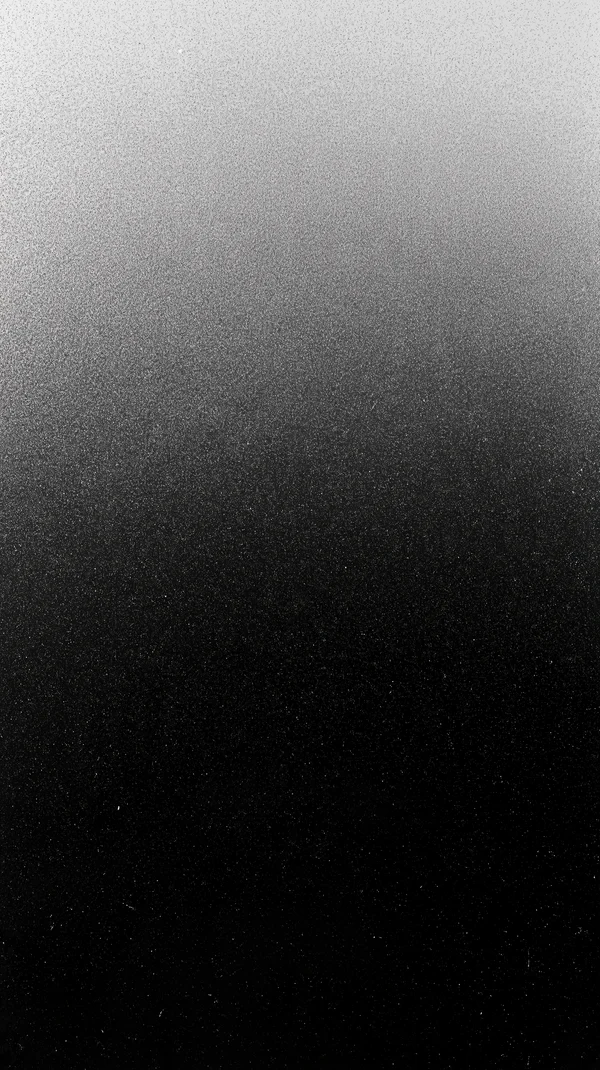 Monochrome Grainy Gradient